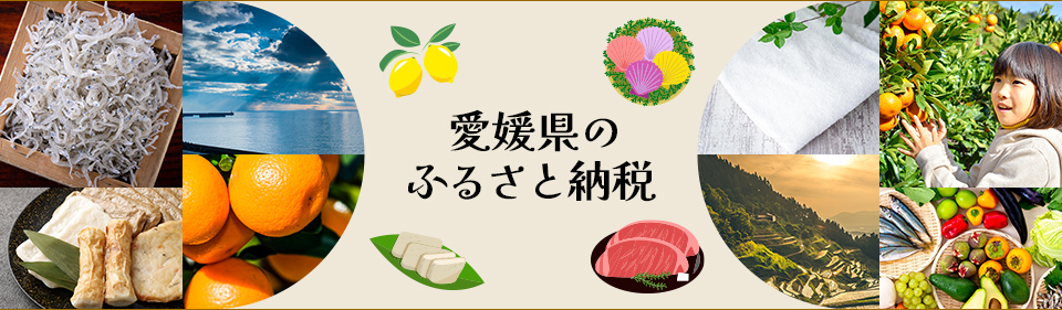 愛媛県のふるさと納税