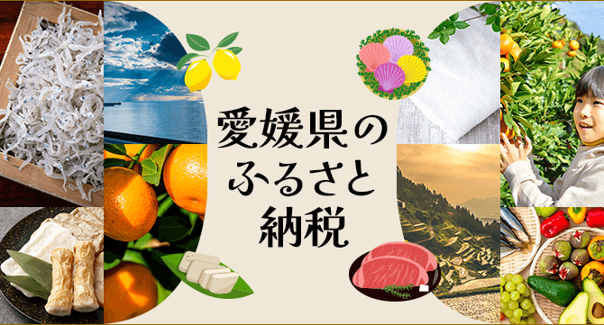 愛媛県のふるさと納税