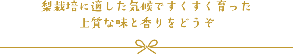 梨栽培に適した気候ですくすく育った 上質な味と香りをどうぞ