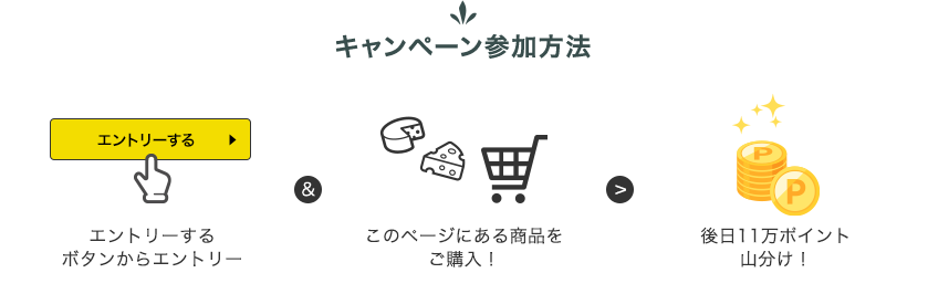 キャンペーン参加方法 エントリーする！ボタンからエントリー このページにある商品をご購入 後日11万ポイント山分け!