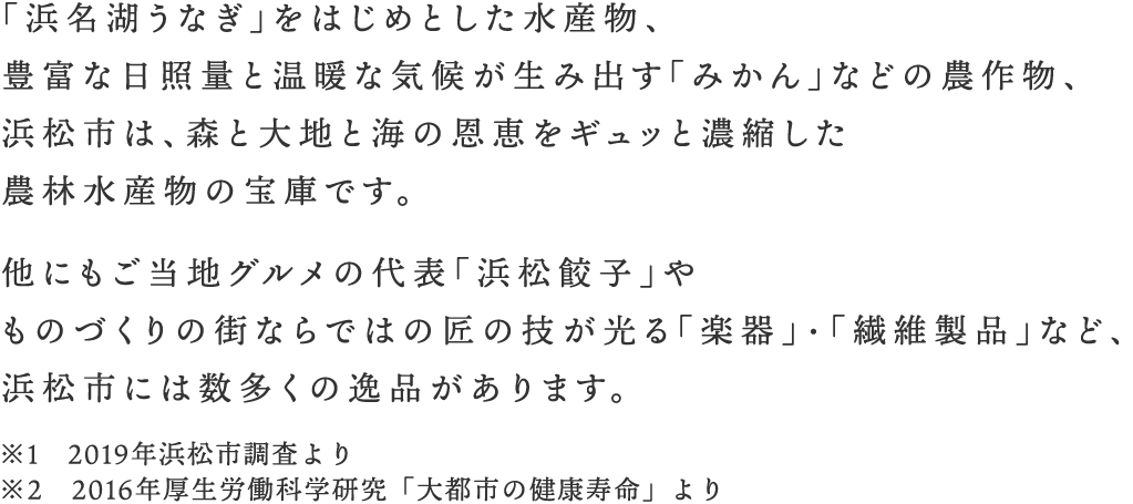 楽天市場 まち楽 浜松市web物産展 おうちでハマる グルメと名産