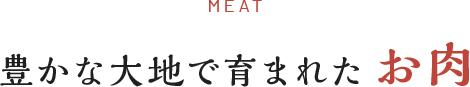 MEAT 豊かな大地で育まれたお肉