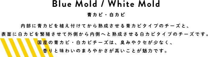 Blue Mold / White Mold