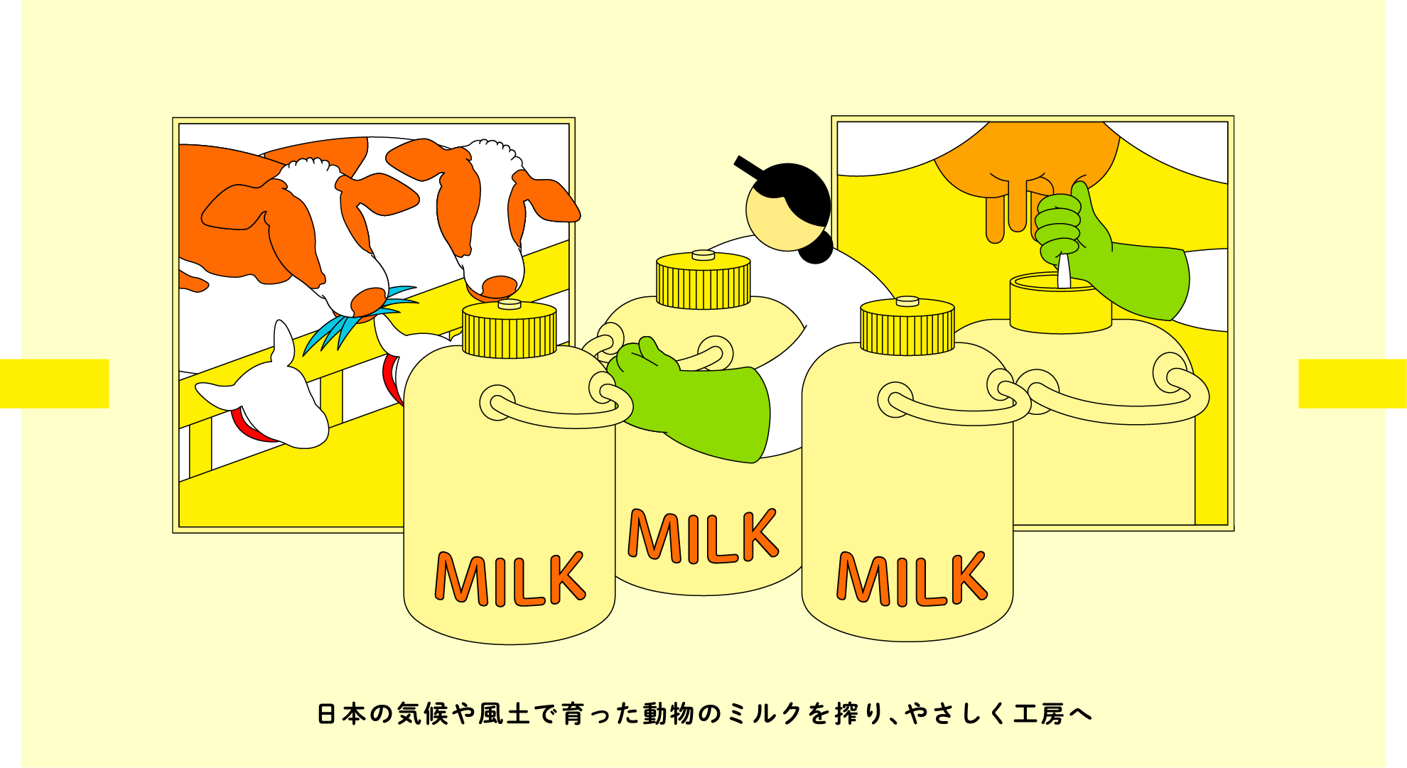 日本の気候や風土で育った動物のミルクを絞り、やさしく工房へ