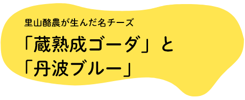 里山酪農が生んだ名チーズ「蔵熟成ゴーダ」と「丹波ブルー」