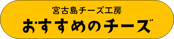 宮古島チーズ工房おすすめチーズ