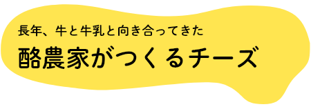 長年、牛と牛乳と向き合ってきた　酪農家がつくるチーズ