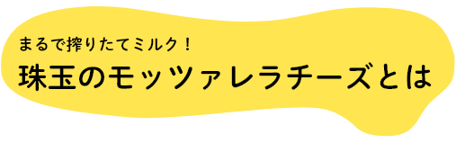 まるで搾りたてミルク！珠玉のモッツァレラチーズとは