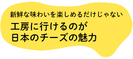 新鮮な味わいを楽しめるだけじゃない 工房に行けるのが 日本のチーズの魅力