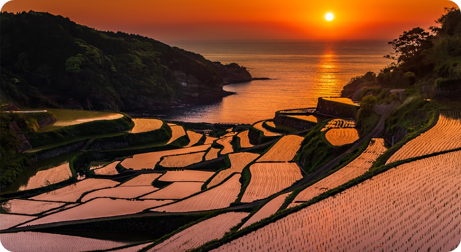 東松浦半島の見どころ