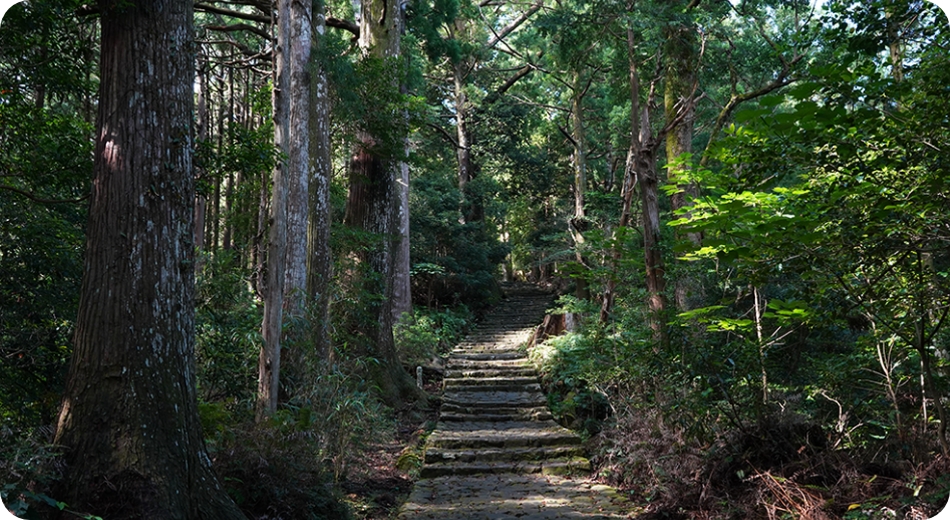 紀伊半島の見どころ