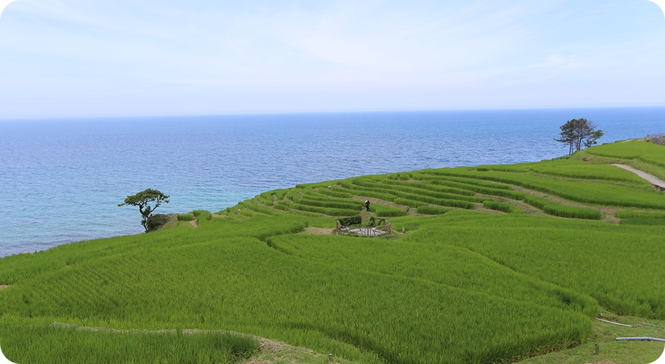 能登半島の見どころ