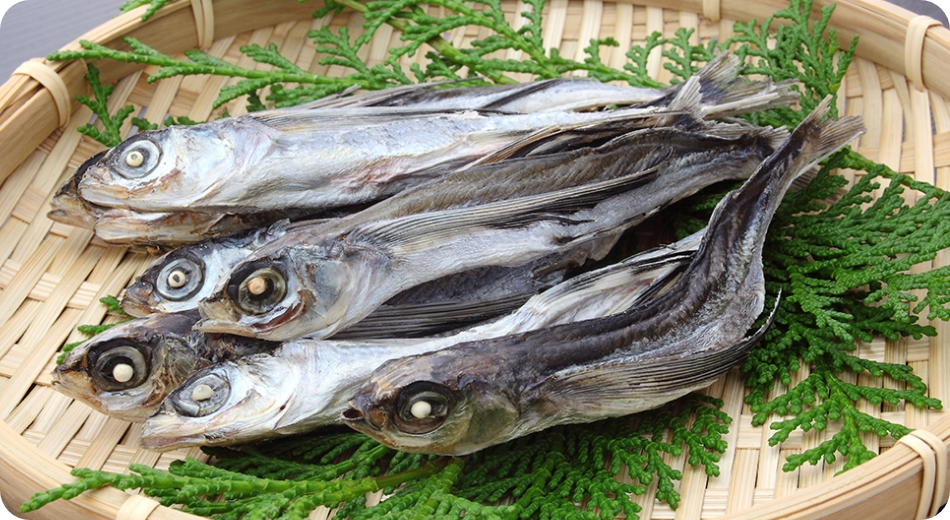 島根半島の食