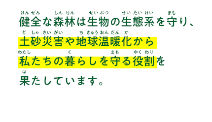 健全な森は生物の生態系を守り、土砂災害や地球温暖化から私たちの暮らしを守る役割を
									果たしています。