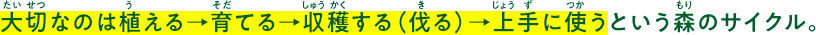 大切なのは植える→育てる→収穫する（伐る）→上手に使うという森のサイクル。