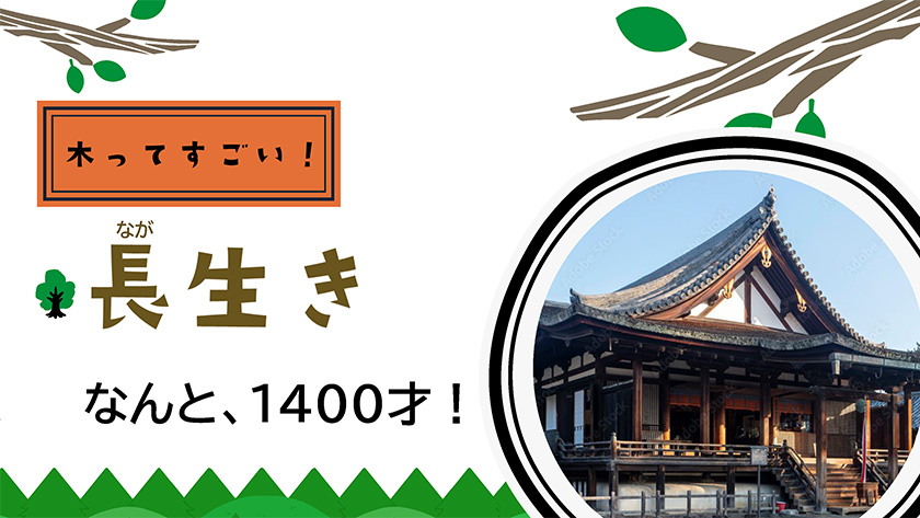 長生き、なんと1400才！