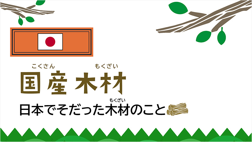 国産木材 日本で育った木材のこと