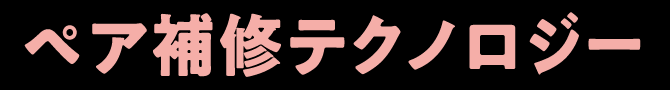 ペア補修テクノロジー


            