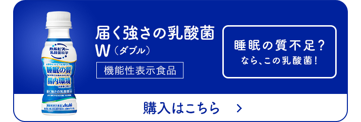 br>乳酸菌共生培養濃縮液 プラサーダ 380ml ２個セット-000008 - 通販