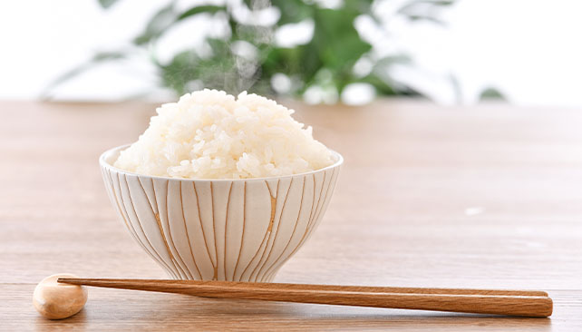 令和4年産 特別栽培米 コシヒカリ「愛発の棚田米」5kg