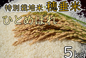 特別栽培米　穂垂米「ひとめぼれ」5kg