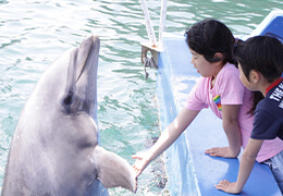 下田海中水族館