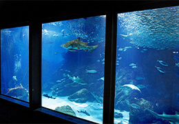 マリンワールド海の中道 水族館