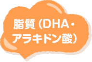 脂質（DHA・ アラキドン酸）