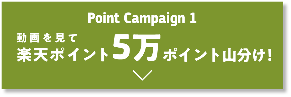 Point Campaign 1 動画を見て楽天ポイント5万ポイント山分け！