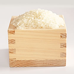 令和元年新米 美濃加茂産のお米 (10kg) 