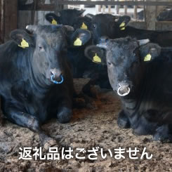 近江牛生産農家支援（返礼品なし）