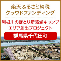 群馬県千代田町のプロジェクト