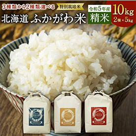 【令和5年産・特別栽培米】北海道 ふかがわ米 3種類から2種類選べる お米セット