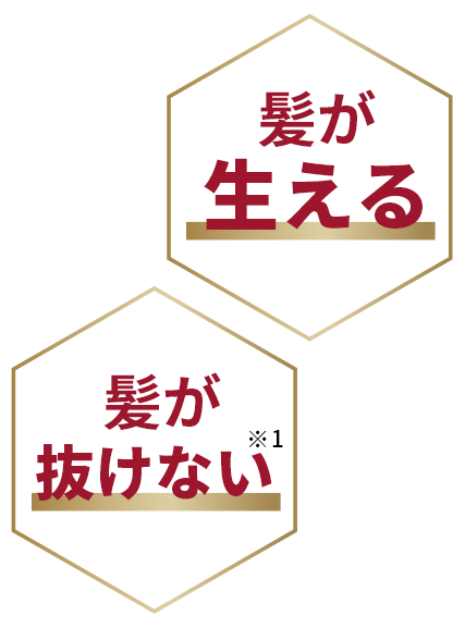 髪が生える　髪が抜けない