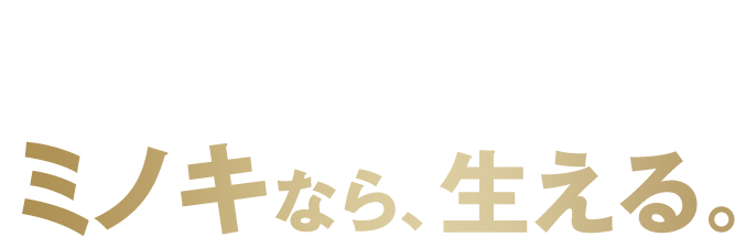 ミノキなら、生える