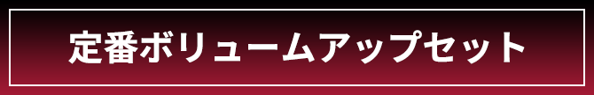 定番ボリュームアップセット 