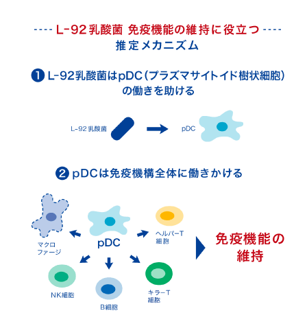 L-92乳酸菌　免疫機能の維持に役立つ推定メカニズムの図