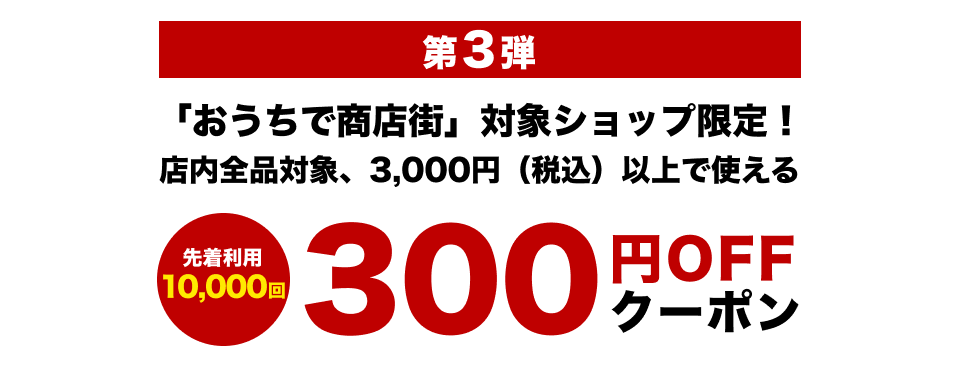 300円OFFクーポンプレゼント