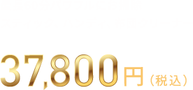 最長60分パワフルにお掃除 スティック、ハンディ、布団クリーナー 37,800円（税込）