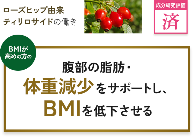 腹部の脂肪・体重減少をサポートし、MBIを低下させる