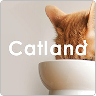 cat-land