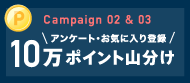 Campaign 02 & 03 アンケート・お気に入り登録 10万ポイント山分け