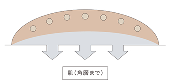 ②カプセルがほどけて肌に均一に広がる