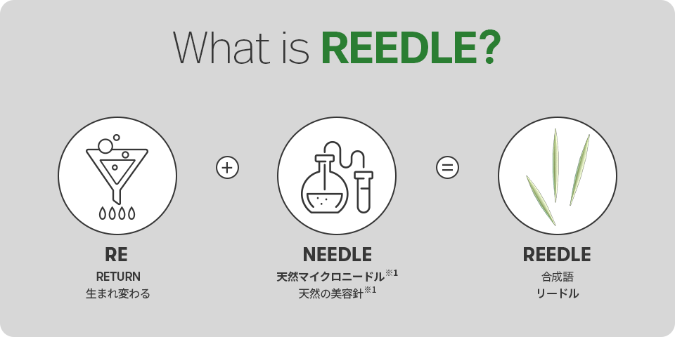 What is REEDLE?