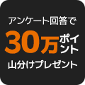 アンケート回答で　楽天POINT　30万ポイント山分け！