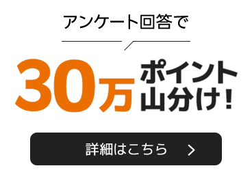 アンケート回答で30万ポイント山分け