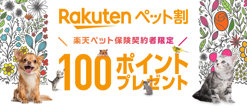 チラシを受け取った楽天ペット保険契約者限定 エントリー ペット割新規登録で100ポイントプレゼント